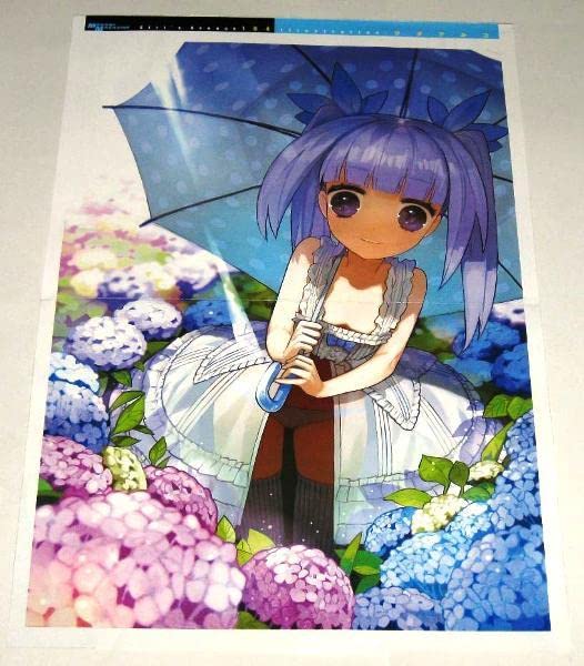 クイーンズ・ブレイド　コレクションカード　まとめ売り　32枚 Amazon.co.jp: ピンナップ/クイーンズブレイド&ワダアルコ